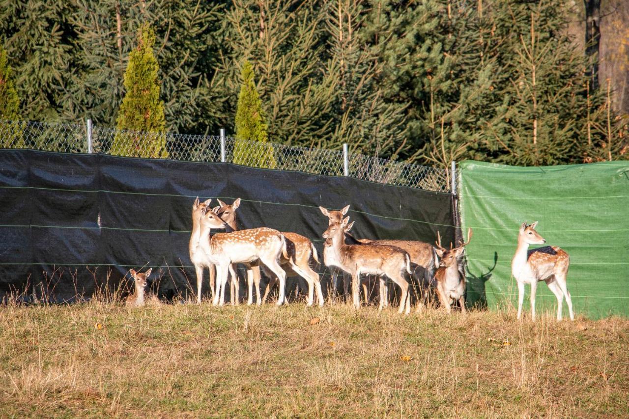 Grand Tatry - Miejsce Na Wyjatkowy Pobyt Dla Ciebie I Twojej Rodziny! - Sauna I Jacuzzi Wliczone W Cene Pobytu -10 Minut Pieszo Od Term Bania Bialka Tatrzanska 外观 照片