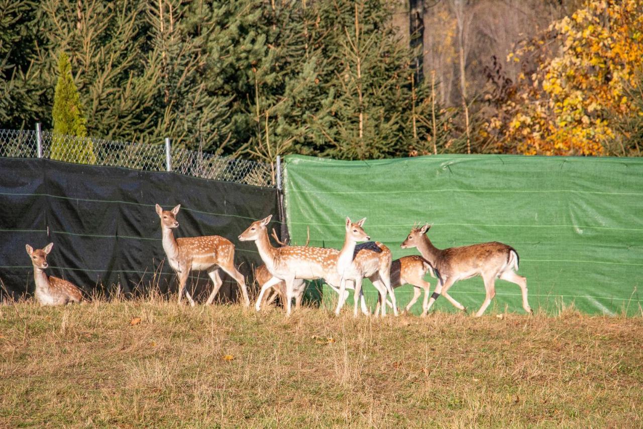 Grand Tatry - Miejsce Na Wyjatkowy Pobyt Dla Ciebie I Twojej Rodziny! - Sauna I Jacuzzi Wliczone W Cene Pobytu -10 Minut Pieszo Od Term Bania Bialka Tatrzanska 外观 照片